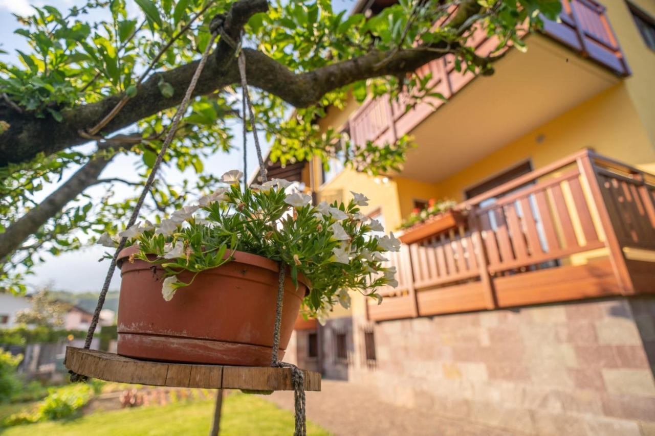 B&B Nonno Carlo Trento Exterior foto